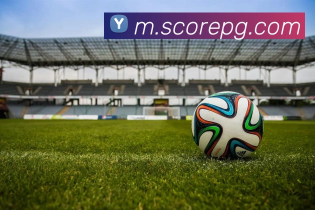 pg官网服务体系